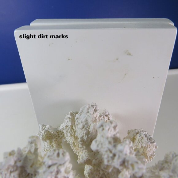 White Faux Coral Bookends from Target 2012 Nautical, lots of texture - Picture 12 of 12